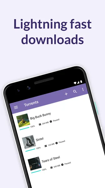 BitTorrent Pro — скриншот 2