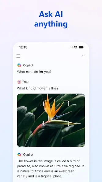 ​​Microsoft Copilot — скриншот 2