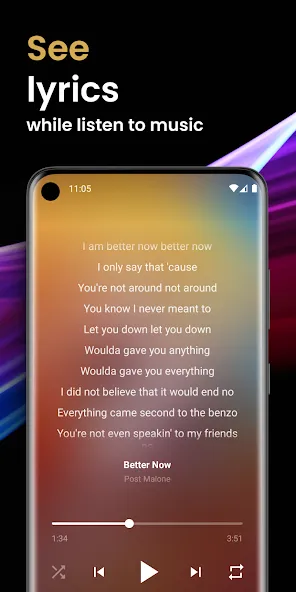 Offline Music Player — скриншот 2