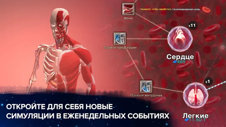 Эволюция никогда заканчивается — скриншот 1