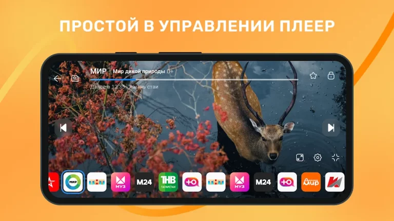 Лайт HD TV — скриншот 2