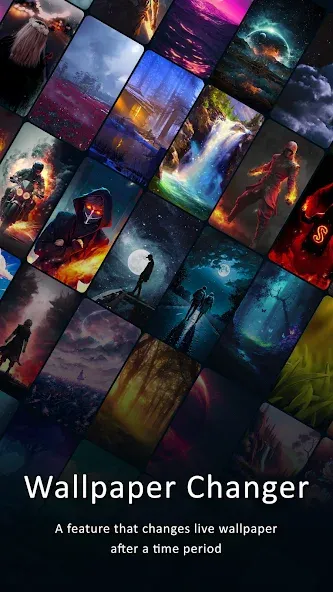Live Wallpapers — скриншот 2