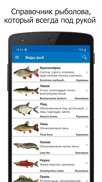 Справочник рыбака — скриншот 1