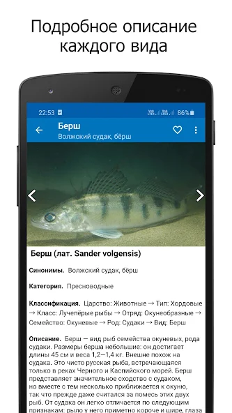 Справочник рыбака — скриншот 2