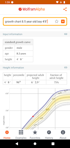 WolframAlpha Classic — скриншот 2