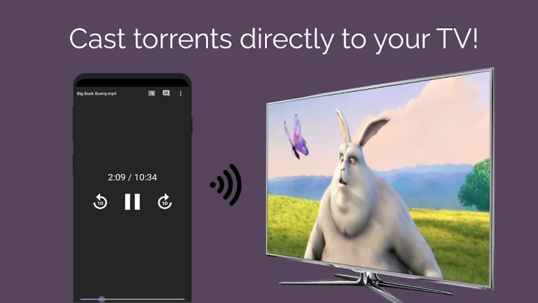 Amnis — Torrent Player — скриншот 2