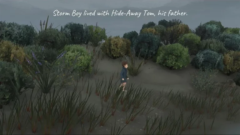 Storm Boy — скриншот 1