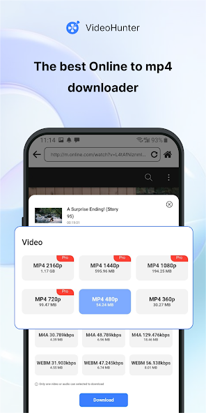 VideoHunter — скриншот 2
