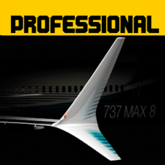Flight 737 — MAXIMUM