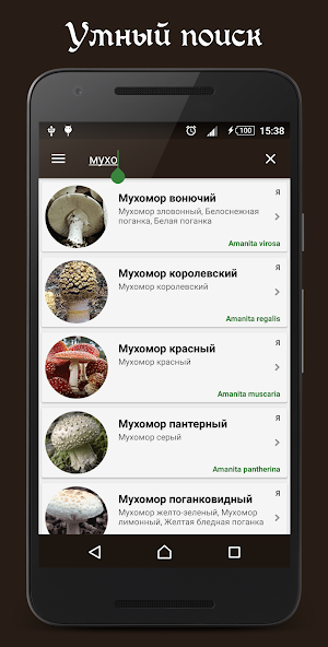 Справочник грибника — скриншот 2