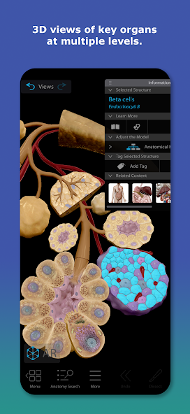 Скриншот приложения Human Anatomy Atlas 2026 — скриншот 2