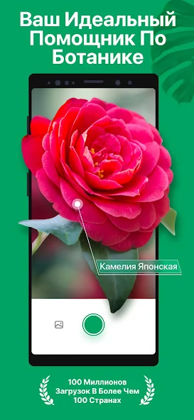 Скриншот приложения PictureThis растения признать — скриншот 1