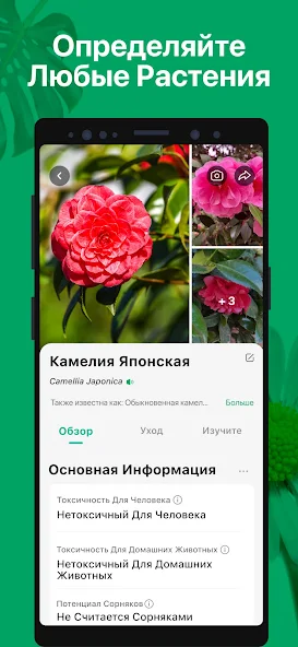 Скриншот приложения PictureThis растения признать — скриншот 2