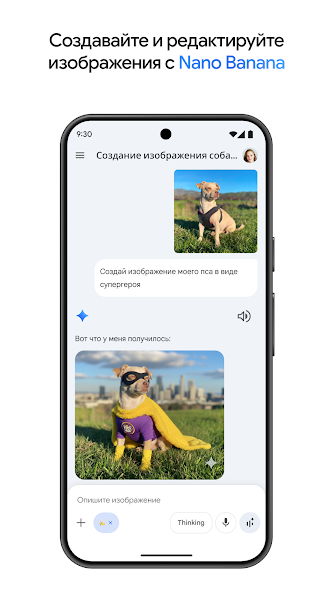 Скриншот приложения Google Gemini — скриншот 1
