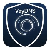 VayDNS