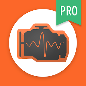 inCarDoc PRO