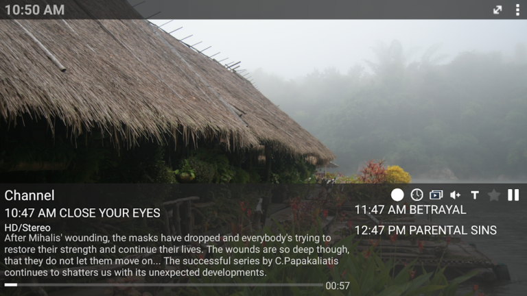 Скриншот приложения ProgTV Android — скриншот 1