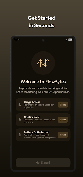 Скриншот приложения FlowBytes: Speed Meter & Data — скриншот 1
