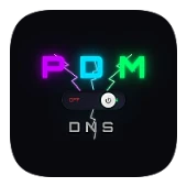 Perfect DNS Manager